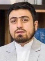 Elvin Sadiqov
